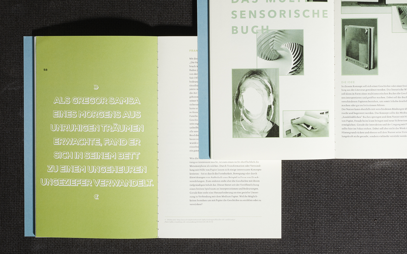 ZMD_Webpage_2020_Bilder_Projekt_PamM