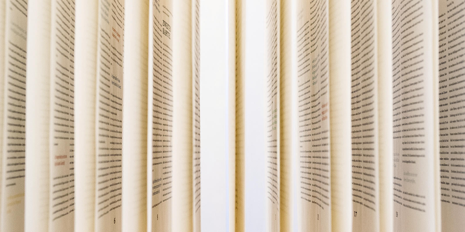 ZMD_Webpage_2020_Bilder_Projekt_PamM_