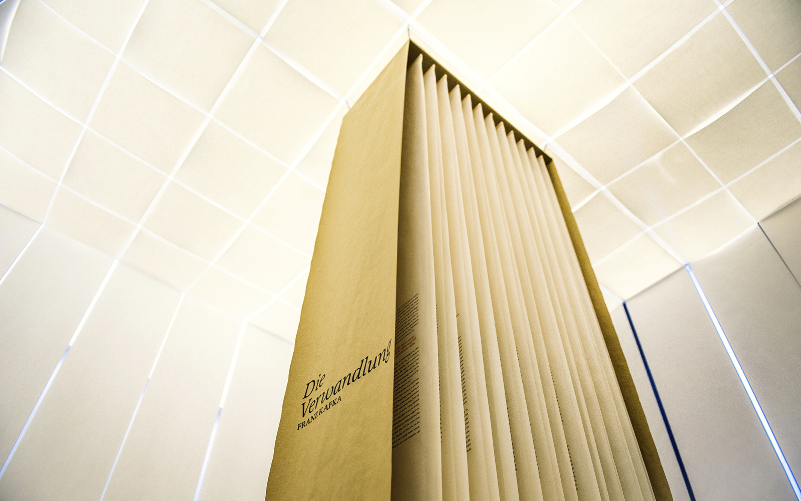 ZMD_Webpage_2020_Bilder_Projekt_PamM_2