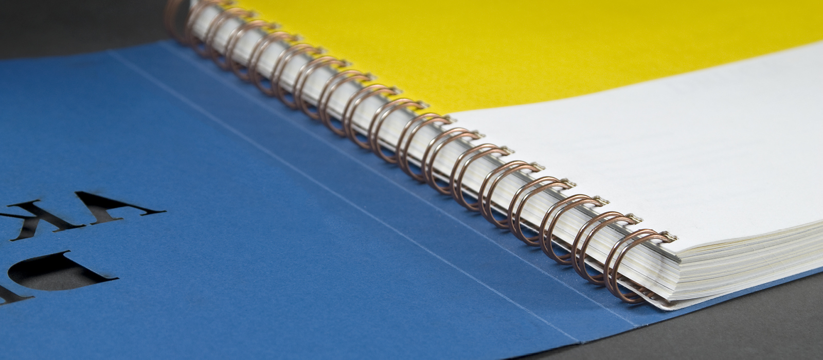 ZMD_Webpage_2020_Bilder_interaktiver-druck_3